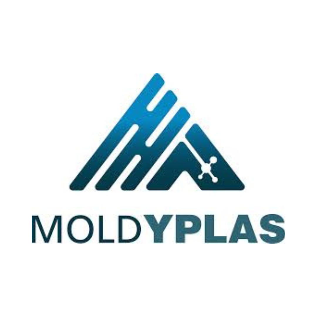 Moldyplas